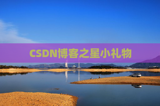 CSDN博客之星小礼物